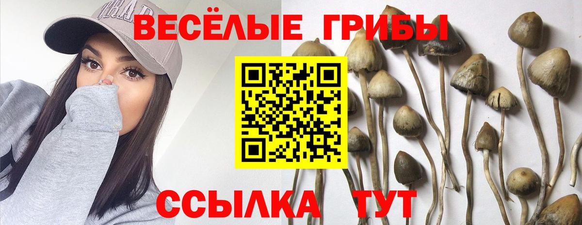 Галлюциногенные грибы мухоморы Пугачёв